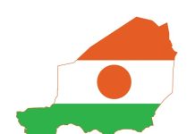 Military intervention in Niger not off the table-Presidency