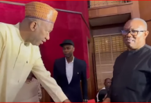 Peter Obi’s camp speaks on “missing phone” at tribunal