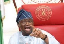 Soldiers robbed, killed my aide, says Senator Adeola