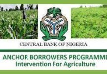 CBN’s ABP marred by low recovery of loans – stakeholders