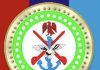 Non-kinetic operations yielding results, bandits surrendering – Military DHQ says air strikes killed 70 bandits in Niger, denies civilian casualties