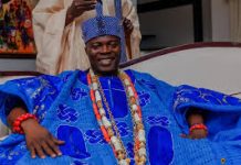 Ensure Police DPOs are posted to their localities, Olowu urges Police Service Commission