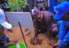 Desertification: Zulum flags off planting of 1.2m trees in Borno