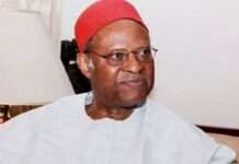 Anyaoku calls for new Constitution to address national challenges