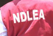 Korean Intelligence Service commends NDLEA on arrest of wanted Nigerian drug baron, seeks suspect’s extradition
