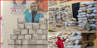Hong Kong, France-bound businessmen arrested at Abuja airport for ingesting cocaine, heroin