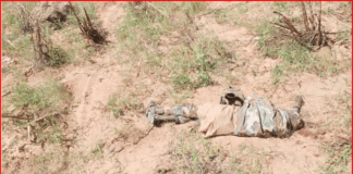 Just In: Troops neutralize several terrorists, recover arms, ammunition in Sokoto