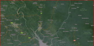 Kidnapping: Residents express fears, concerns over Calabar carnival