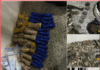 Joint Nigerian Army, DSS operations thwart planned Boko Haram attack in Kano