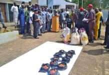 Ogun Customs intercepts 975 live ammunition hidden in bags of rice