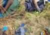 Bandits suffer heavy casualty in Birnin Gwari as troops launch deadly offensives
