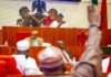 Senate increases 2024 budget to N28.7trn
