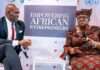 Tony Elumelu rallies global leaders, calls for urgent climate action for Africa at COP28 in Dubai