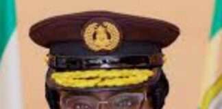 NIS elevates Immigration spokesperson, 4,851 others to various ranks