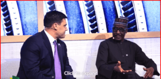 COP 28: Kyari makes case for a just energy transition for Africa