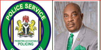 Arase urges Nigerians to rededicate to national service in the new year