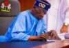 Tinubu reappoints Bayero Farah as NITT DG