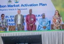 Stakeholders design framework to maximize Nigeria’s carbon market