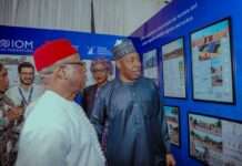 IOM, Northeast Govs to build permanent homes for displaced persons