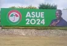 Edo 2024: Asue Ighodalo’s campaign billboards “litter” Benin City