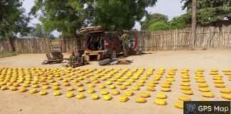 Troops apprehend transnational drug syndicate, seize 296 parcels of illegal substances