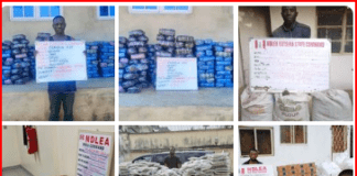 NDLEA intercepts large consignment of Canadian Loud in Lagos, UK, Italy-bound opioids