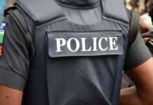 Police arrest driver with 11 wraps of Indian hemp in Edo State