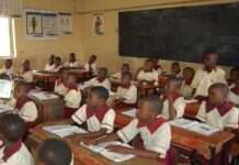 50% of pupils in Enugu State can’t read in English – SSG