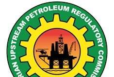 “NUPRC’s consultants work for Shell” — Amnesty alleges conflict of interest in asset sale