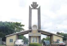 (Video) Tragic turn of events as OAU lion kills zookeeper during feeding