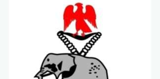 NLC protest: Police make a U-turn, warn impostors against hijack Irate Edo Youths