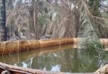 Nigerian Army recovers 1m litres of stolen crude oil in Rivers