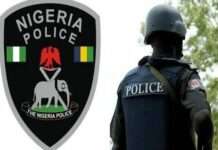 Police arrest two suspected kidnappers with AK-47 Rifle in Adamawa