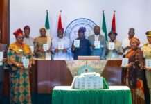 FG rolls out Expatriate Employment levy guidelines