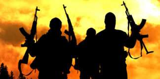 Multiple Benue communities sacked as gunmen kill 16 in renewed onslaught