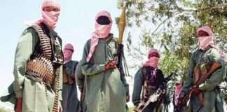 Parental negligence, unemployment, and drug abuse drive youth to Boko Haram and ISWAP–Experts
