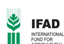 IFAD-FG projects enhance livelihood of four million rural households