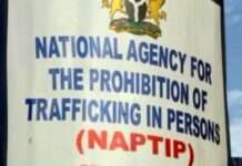 Practise female circumcision, risk four years imprisonment – NAPTIP NAPTIP
