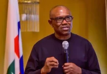 Abduction of school children in Kaduna despicable, unacceptable – Peter Obi