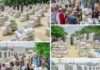 Kogi Central: Senator Natasha distributes six trucks of grains to constituents