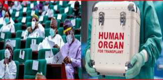 Organ Harvesting: National Assembly orders CEO of Alliance Hospital and Other arraigned suspects to face court
