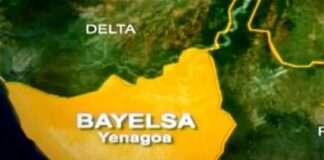 Bayelsa monarch announces decision to relinquish throne over failing health