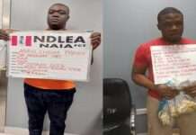 Two drug kingpins bag life imprisonment for cocaine trafficking