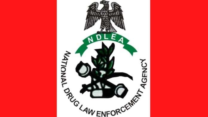 NDLEA intercepts over one million pills of opioids in Bauchi