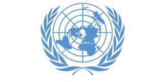 UN allocates additional US$5m to flood response in Borno, Bauchi, Sokoto