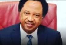 Kaduna Debt: Shehu Sani opens up on $350m World Bank Loan, says his warnings were ignored in 2018
