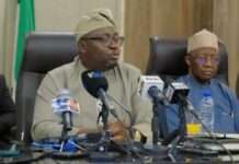 Electricity: FG halts issuance of regulatory autonomy to states