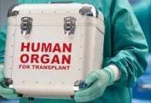 Organ harvesting hearing: What really happened in court, by Oke Egoh