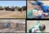 Nigerian Army troops neutralize seven terrorists in Borno