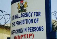 NAPTIP rescues seven girls from Iraq-bound trafficking ring in Abuja hotel